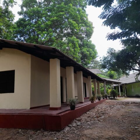 0868e9f8f9eb6f5c90d1491fa8da25ef