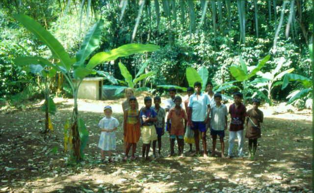 5cf61f50c0348245b9b3584490df1a0c